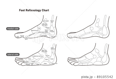 足つぼ 反射区 ～ 第１２回 生殖腺 卵巣・睾丸 ～