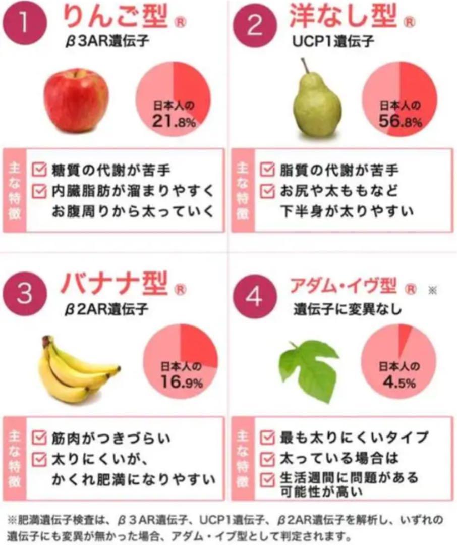 リンゴ型肥満の人は腎臓病リスクが高い 内臓脂肪を減らす対策が必要ニュース糖尿病ネットワーク