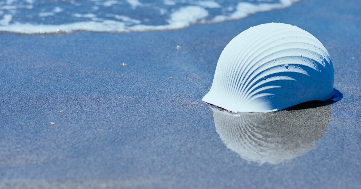 ホタテ貝殻の『合格守り』が話題に 自作の際は「養殖方法」に要注意？TSURINEWS