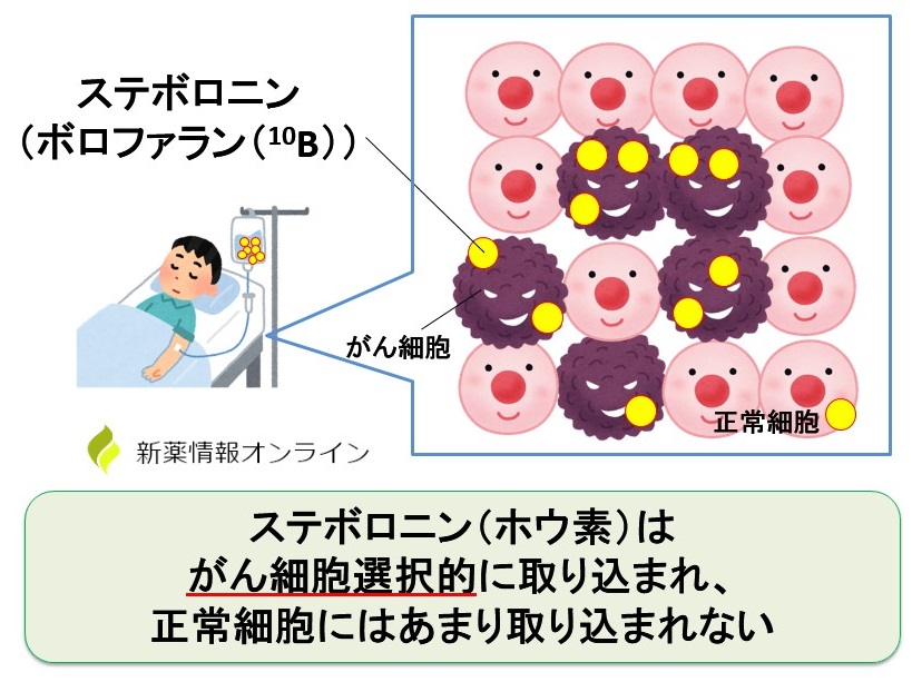 東工大：液体のり PVAを利用：がん治療効果向上： TIT:PVA with BPA through reversible boronateesters in aqueous solution： 东京工业大学:PVA可以通过水溶液中的可逆硼酸酯与BPA形成配合物TokioX'press