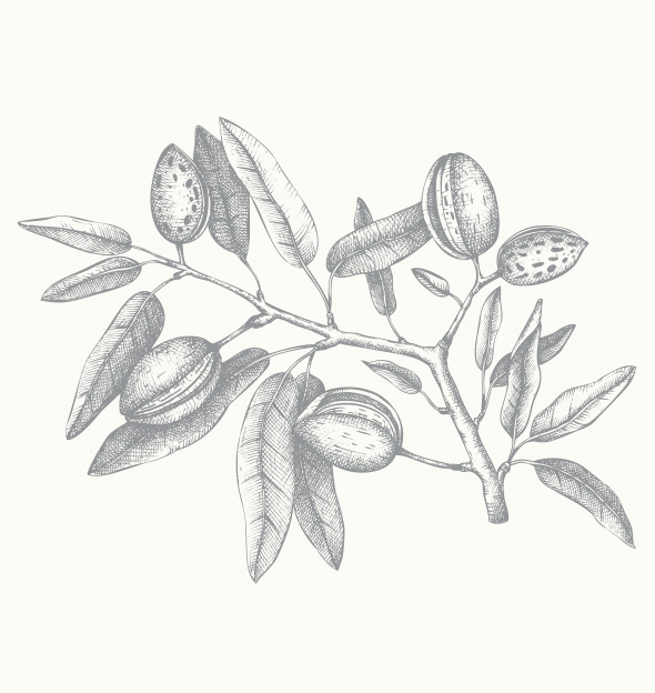 楽天市場giovanni 2chic ハイシャイン シャンプーシャンプー ツバキオイル つや髪 乾燥 広がり ダメージ 紫外線 :Biople