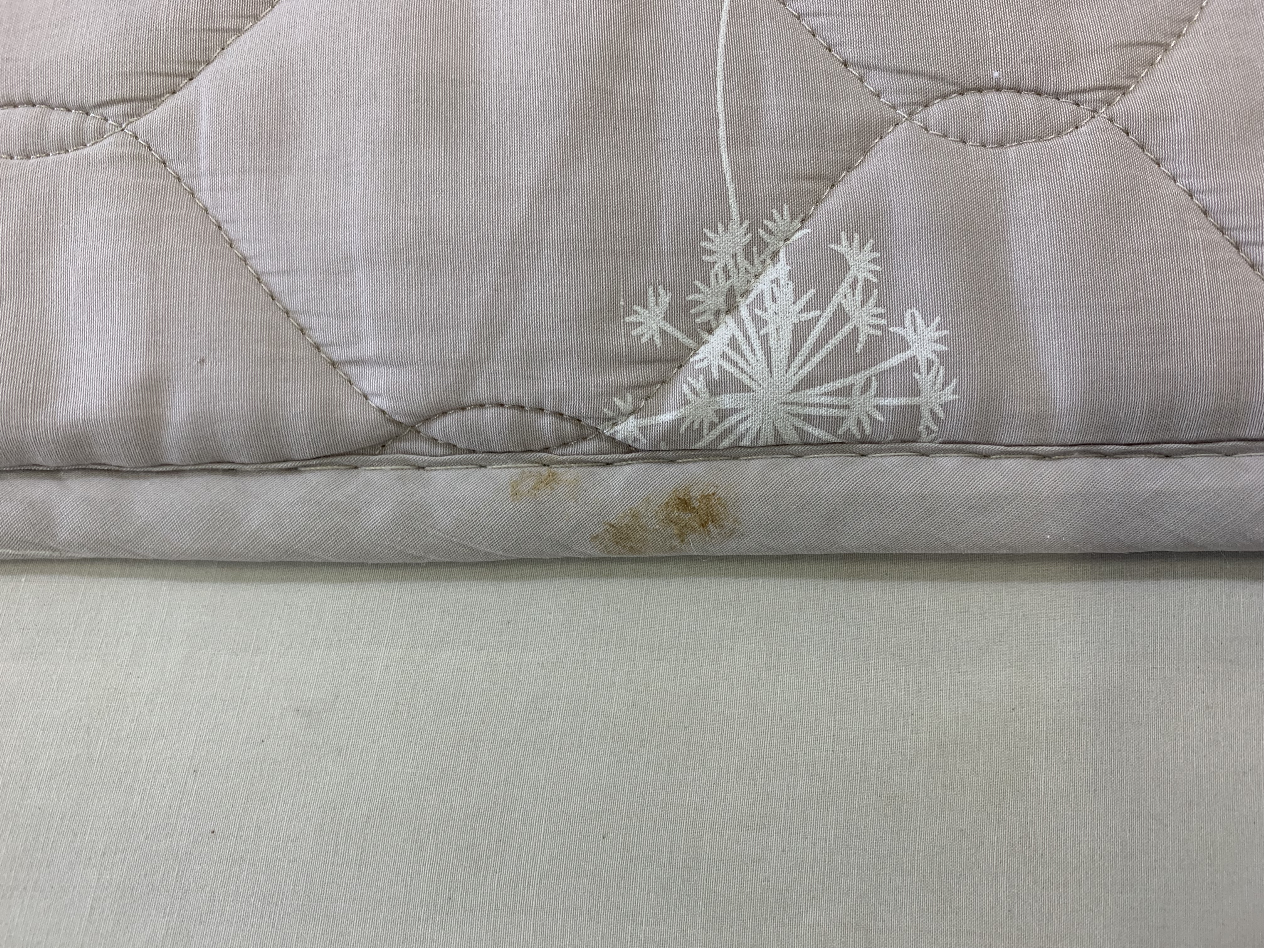 年の瀬大掃除！ マットレスのシミをキレイ にするアイテム発見