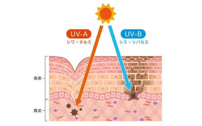 きょう10日の紫外線指数 晴れて「強い」所が多い 特にお昼前後は要注意 気象予報士 日直主任 2023年04月10日- 日本気象協会tenki.jp