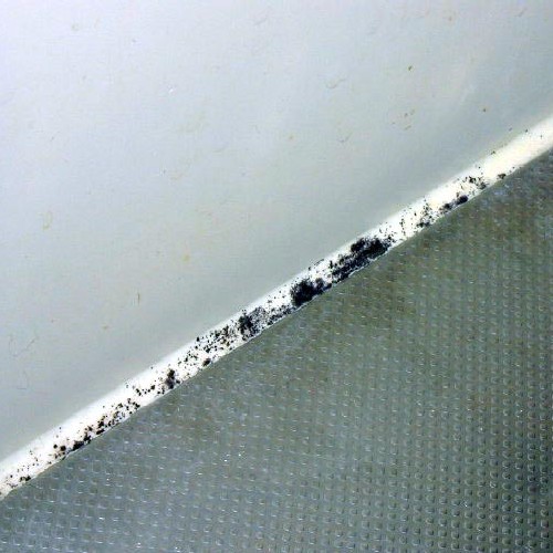 Amazon.co.jp: ゴムパッキン用カビキラー : ドラッグストア