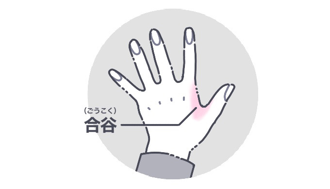 ぜひ使ってほしいツボ！～腰腿点～ブログ鍼灸学科履正社国際医療スポーツ専門学校医療国家免許×スポーツ指導資格×トレーナー資格×外国語の学び