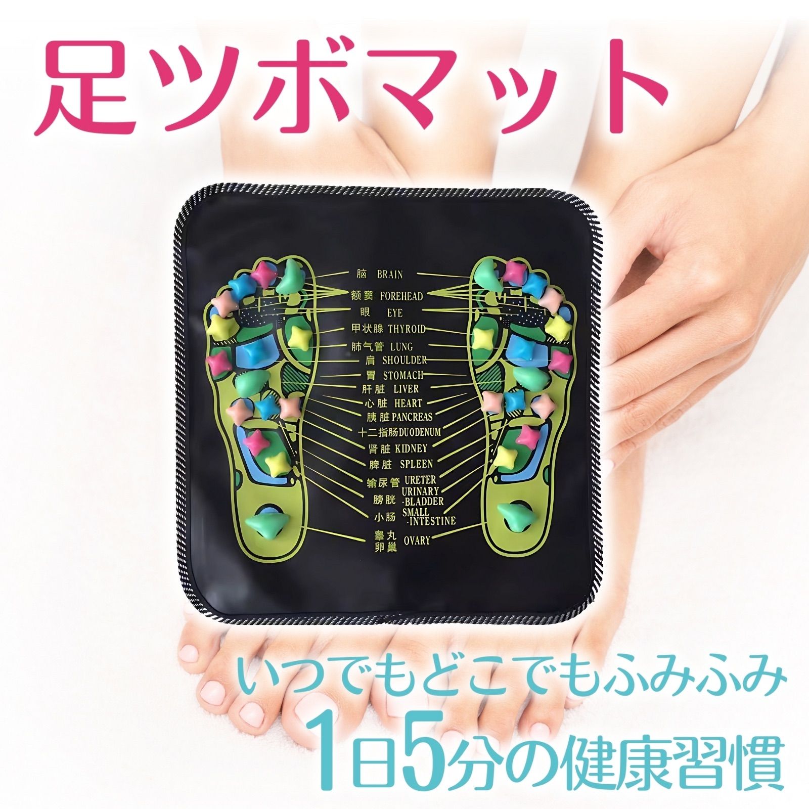 足つぼ名称図解 イラスト素材6694517- フォトライブラリ