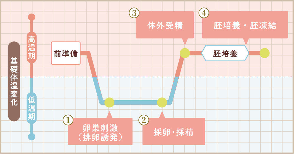 Shinjuku ART Clinic：不妊治療 体外受精 不妊治療の基礎知識