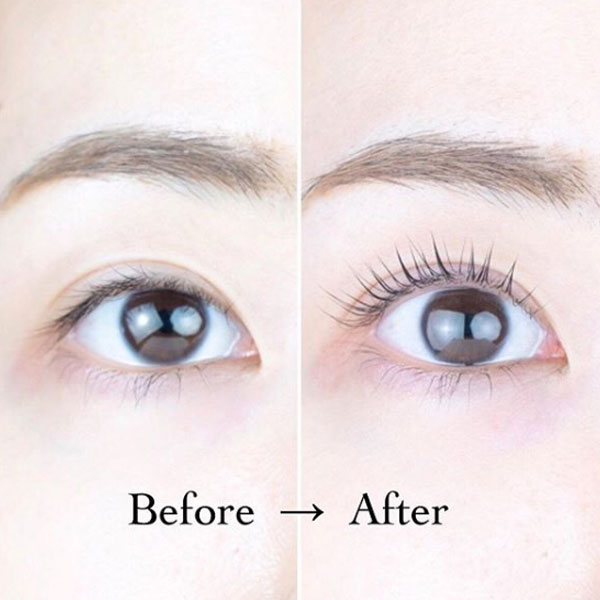 楽天市場 シス・アイラッシュロットバービィリフト ロット４サイズセット S・M・L・LL 立体構造でキレイに仕上がる！シスアイラッシュ 立ち上げ用 ラッシュリフト まつげカール まつげパーマまつ毛カール まつ毛パーマ : エレガンス