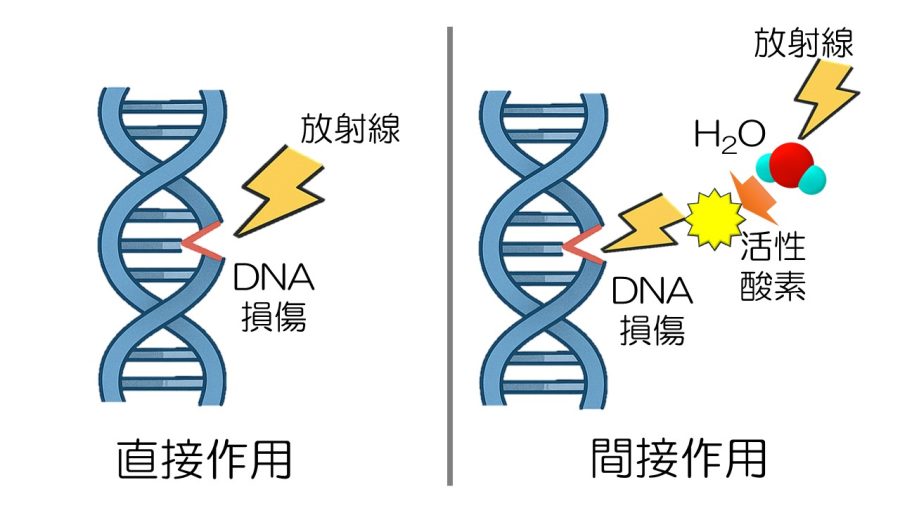 ご存知ですか？紫外線が何故、傷みの原因なのかNOV自由が丘ヘアサロン