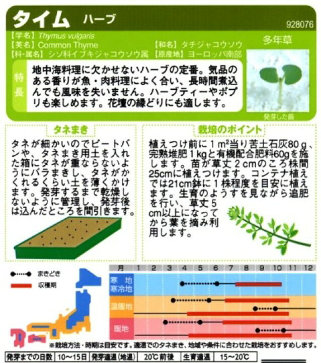 コモンタイムを種から育てる ハーブ栽培 そだレポ 栽培レポート byFitófiloみんなの趣味の園芸