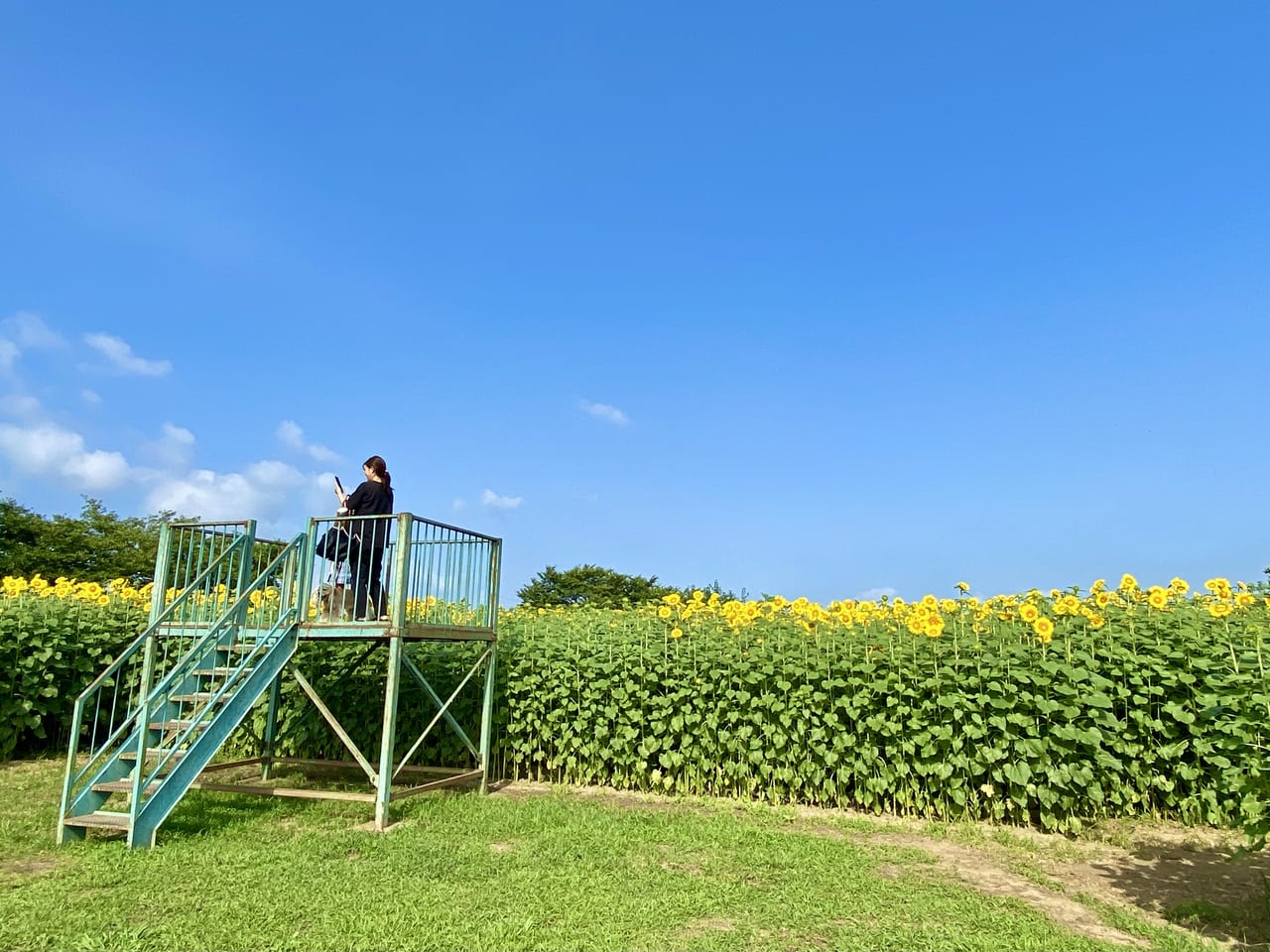 牛島古川公園 第2期（ロケ地情報）／春日部市公式ホームページ