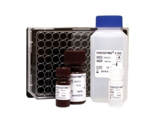 カブトガニの血液。「青色」じゃない！？ - 笠岡市ホームページ