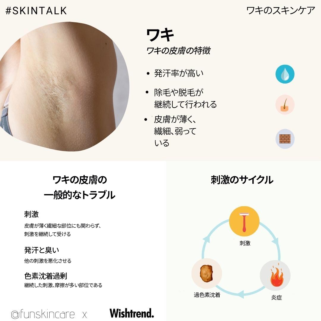 内分泌疾患 - 多賀城市・仙台市で犬猫の動物病院をお探しなら たかひら動物病院