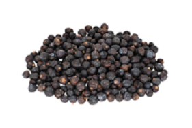 Mixed media feedメナードフェイシャルサロン清水丘LINE Official Account