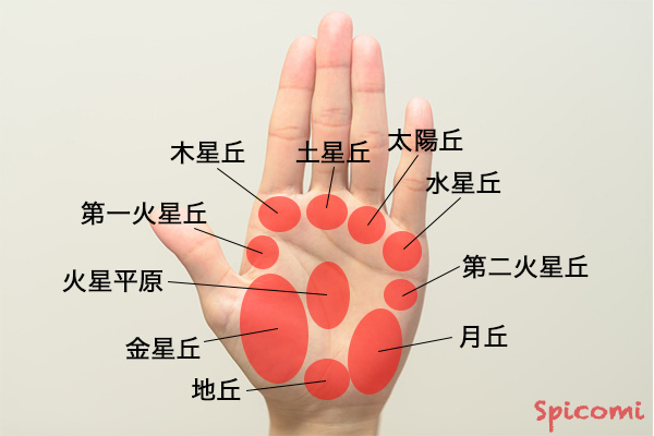 未来を示す右手で手相を読んでみよう。くらしクロワッサン オンライン