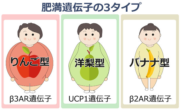 同じ肥満体型といっても、どこに脂肪を溜め込んでいるかでタイプが違い、対策も変わる。自分がどんな脂肪をまとっているのか、チェックテストで肥満のタイプを知ろう！ tarzan筋トレ筋トレ女子筋トレ初心者筋トレダイエットダイエットトレーニング筋