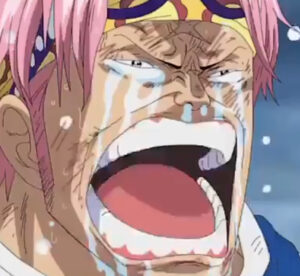 命がもったいないいのちがもったいない とは ピクシブ百科事典