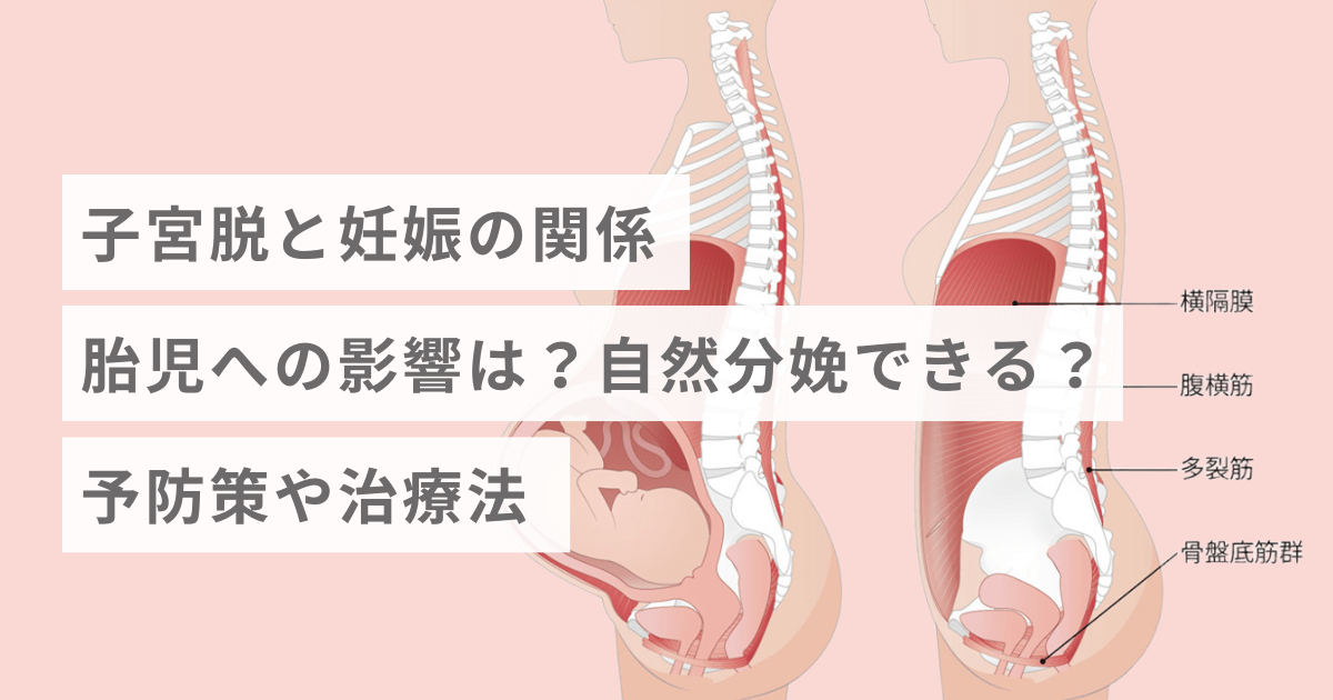 まずは基本から！女性のカラダ図鑑知っておきたい女性のカラダと健康のこと女性のための健康ラボ Mint⁺