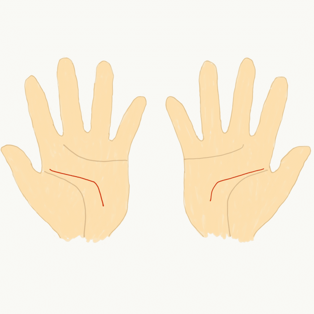 手相は、右手左手でどちらをみる？さちこい