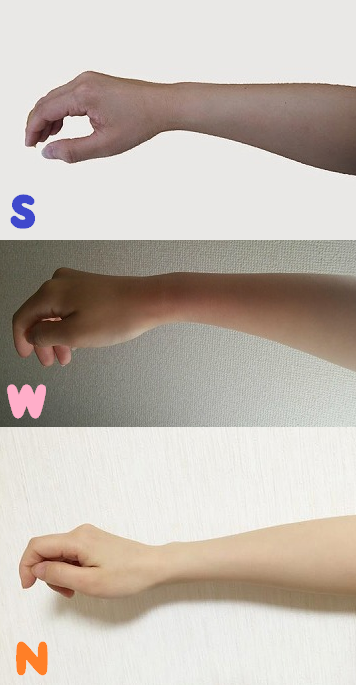 骨格診断タイプは「手」からも分かります