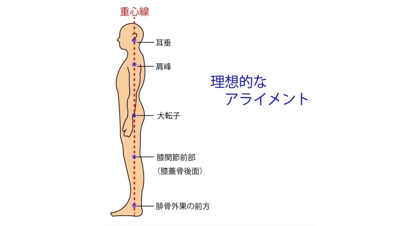 骨盤が広いと太って見える？狭くしたい人がやるべきことピラティススタジオ『ルルト』