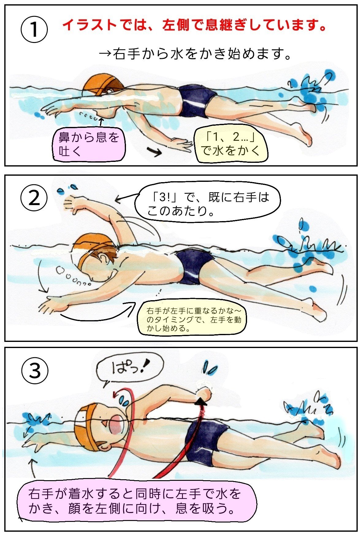 クロール 水泳のイラスト素材 - PIXTA