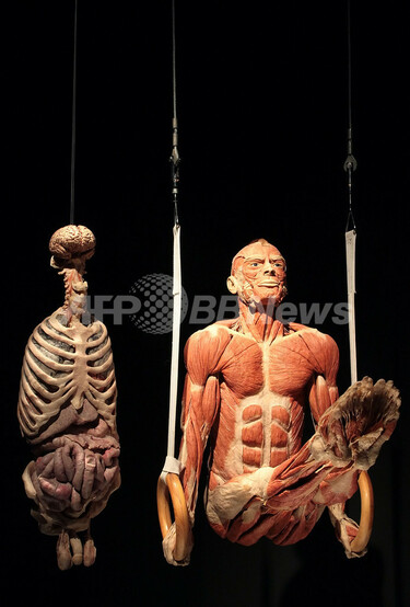 人体の不思議展:7月1日 土 ～8月27日 日 開催中です