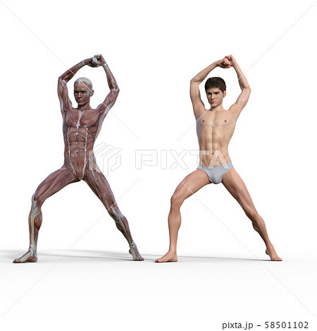 筋肉の収縮を極めた男。キレてる脚の作りかた 筋トレ