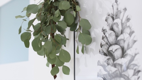 conokaハーブシャワ