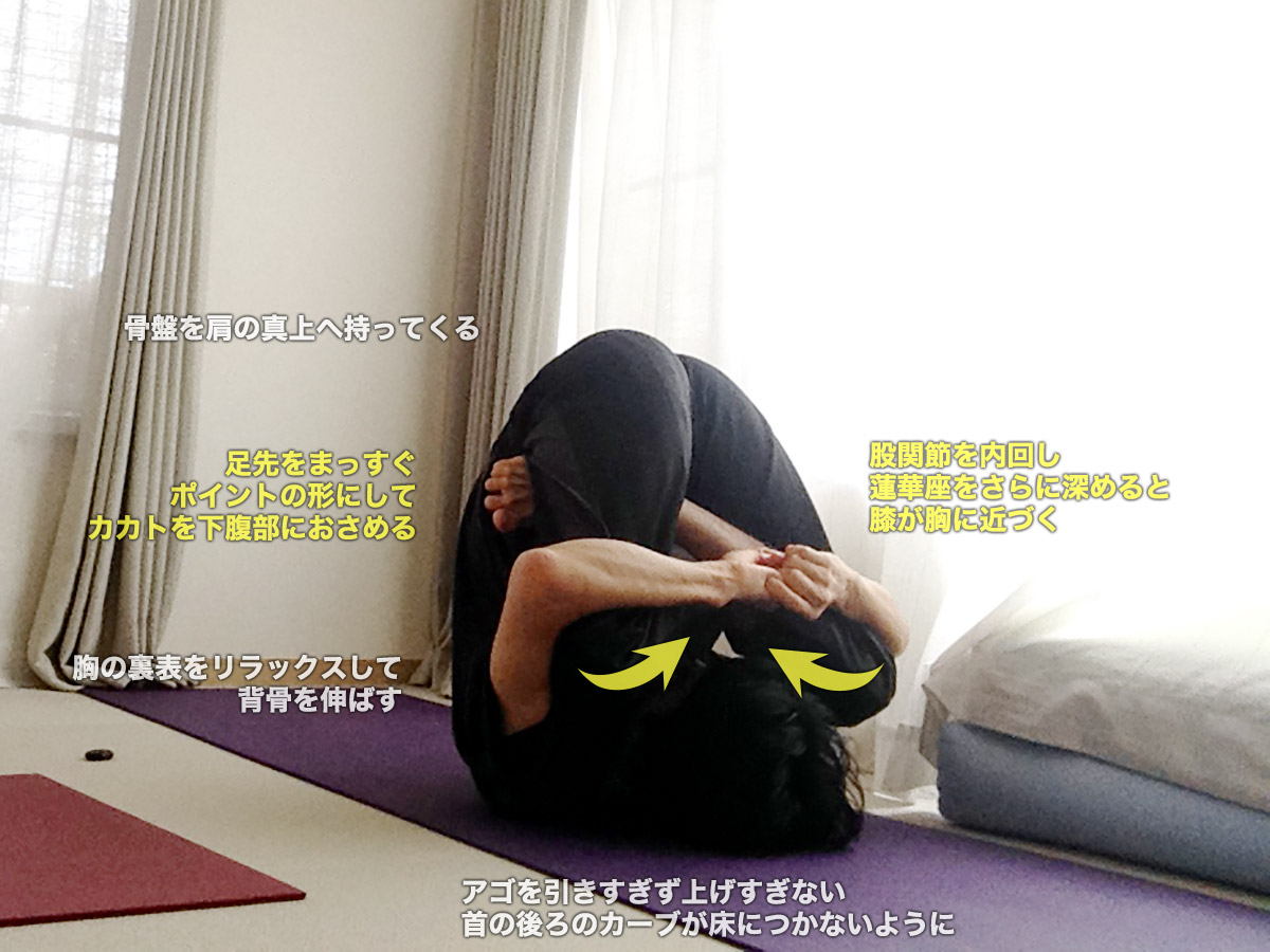 胎児のポーズの基本こわばりをほぐすために意識すべきポイントはヨガジャーナルオンライン