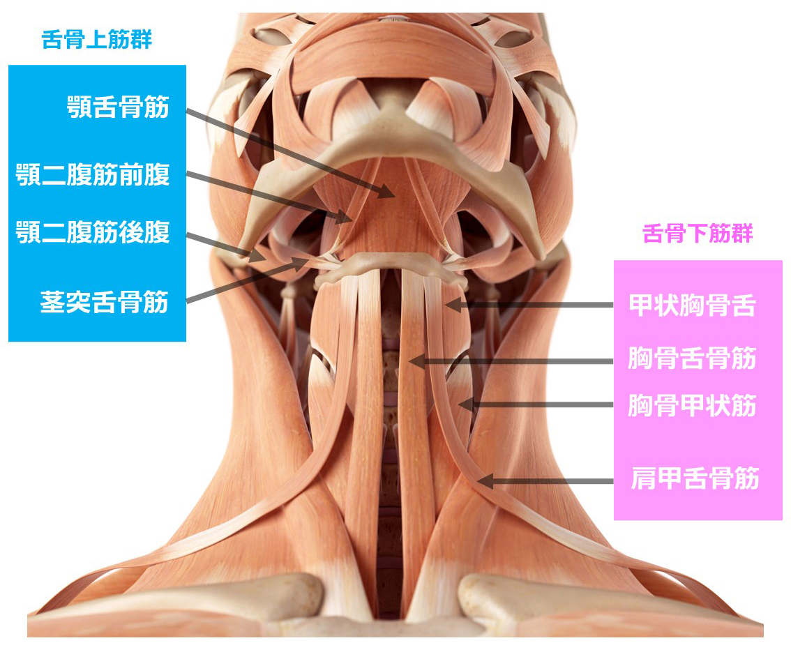 とろみについて
