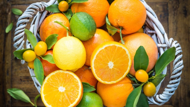 寧波金柑にんぽうきんかん柑橘 キンカンの特徴と育て方 kaju_kankitsu-kaori015-02-hachi2苗木部の部室〜苗木、育てよう〜 By 花ひろばオンライン