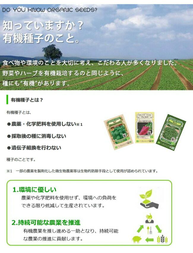 小豆 アズキ の育て方・栽培方法LOVEGREEN ラブグリーン