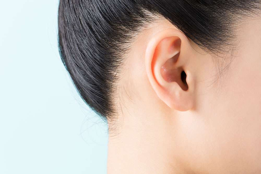 加古川市 新しい耳鼻科が明日1 21 月 開業します！号外NET 加古川市・高砂市