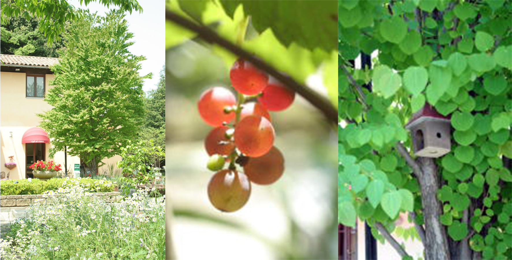 まるでお菓子の家みたい！世界遺産ロシアの宗教的建築物がメルヘンチックで可愛い過ぎ。たびこふれ