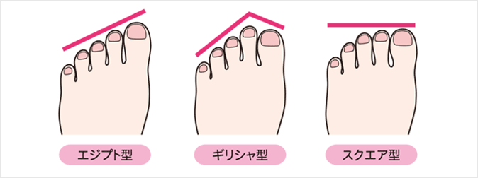 靴・靴下類設計用の人体寸法データ集 成人女性用一般社団法人 人間生活工学研究センター HQL