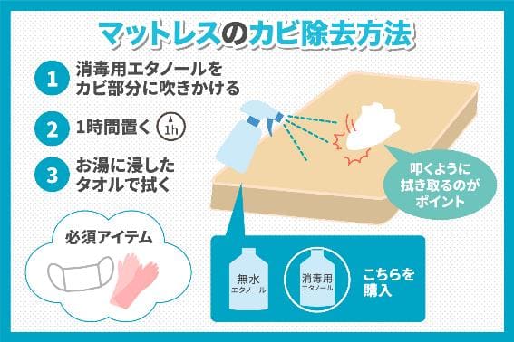 マットレスのカビ - 九州最大級のマニフレックス福岡「スリープキューブ和多屋」