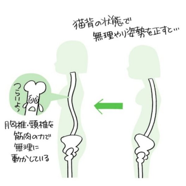 専門家が教える、スマホ首・ストレートネック解消の正しい姿勢＆ストレッチ方法 - ITをもっと身近に。ソフトバンクニュース