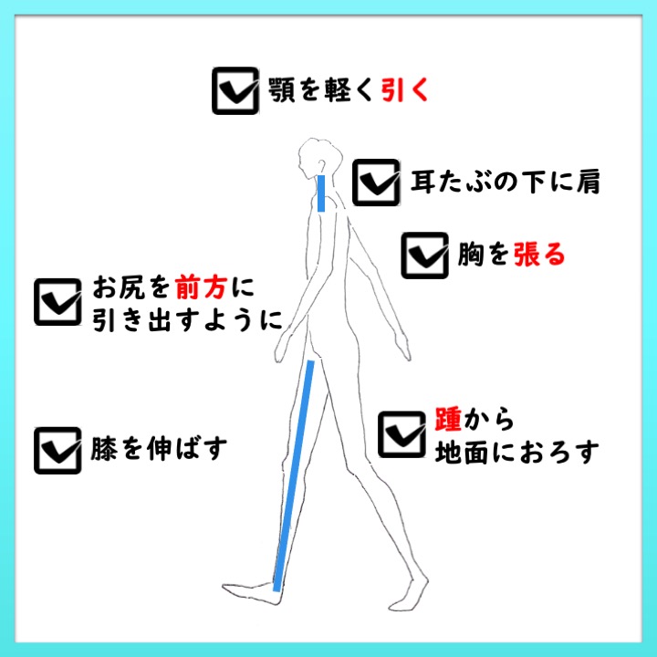 アニメーターの課題集⑯横位置の歩きてかがみ