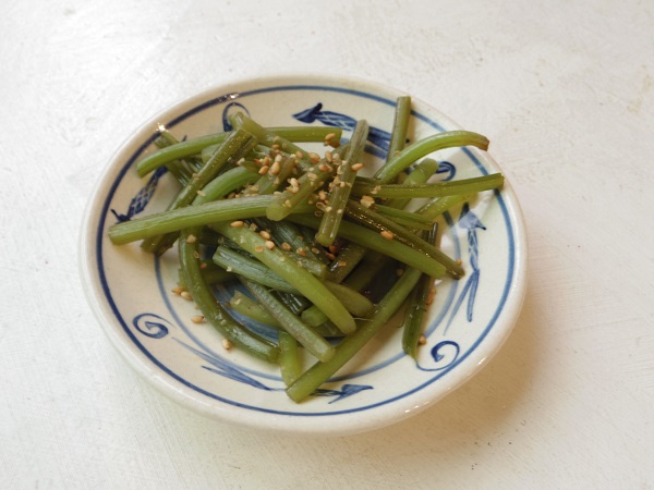 サツマイモのツルを「来年用の苗」に保存する方法と6回目の挑戦レポートカジトラ