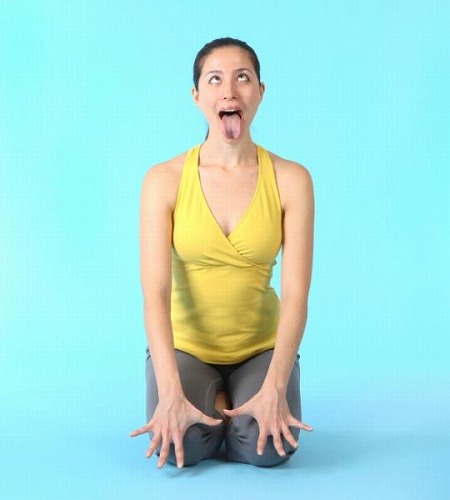 ライオンのポーズ – Holistic Healing Salon Abies