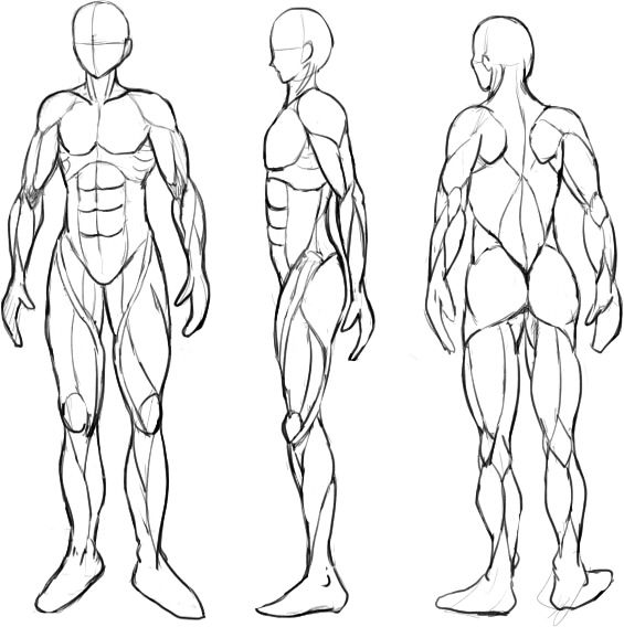ちょこっと立ち読み_男の筋肉描き分けポーズ集ホビージャパンの技法書