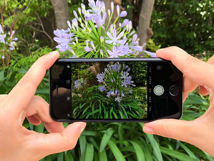 スマホの持ち方 カメラをしっかりと固定ママと子供と素敵な写真