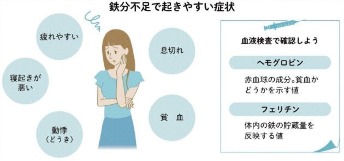 赤血球不足と鉄分の関係疲れやすさやタイム低下の原因はこれかも - アスリートライフ