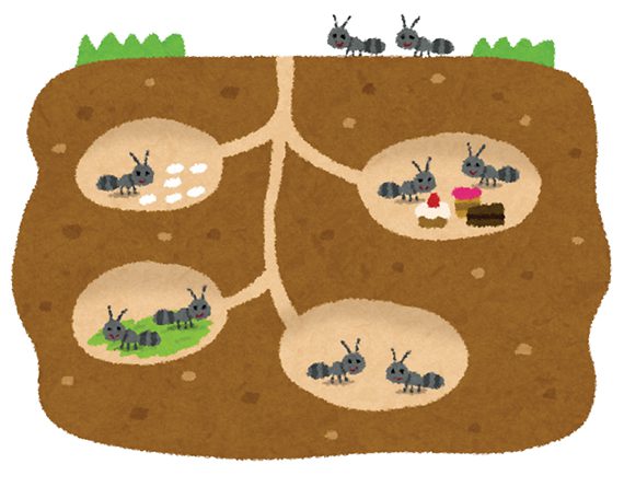 家によく出没する小さいアリの正体は？小さいアリを駆除しましょう！生活110番