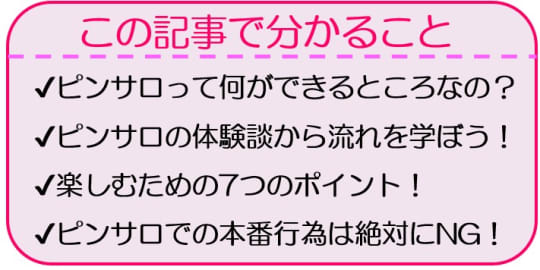 池袋ピンサロ【ホテピン】体験談！超絶美女のテクを堪能してきました | 風俗ナイト