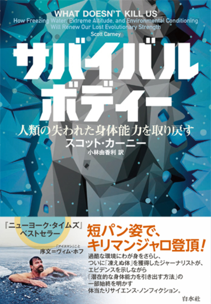 9月23日 火祝 茅ケ崎ヴィム・ホフ・メソッド基礎ワークショップ 呼吸法 x アイスバス x マインドセット – Inner Freedomアイスバス、呼吸法、瞑想、滝行、雪山