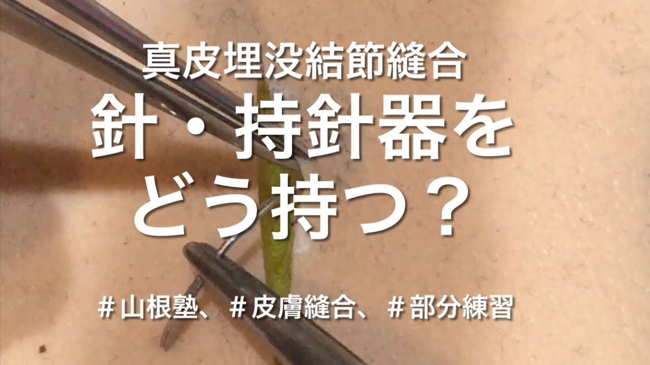 第４７３話：皮膚縫合有限会社シェパード中央家畜診療所