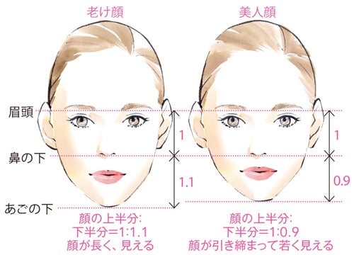 顔の黄金比って？美人のカギは輪郭にあった！Shinagawa Beauty Navi