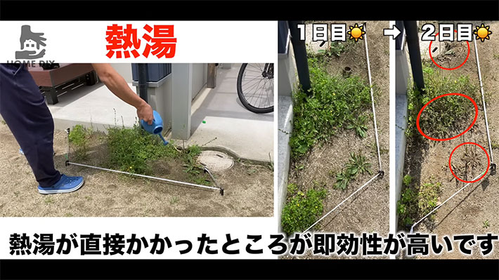 ススキの駆除除草方法4個！熱湯・根っこの深さ・刈る時期 - TRUSTCORP